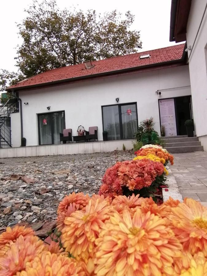 Vila Ana Hotel Kolozsvár Kültér fotó